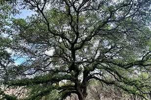 285 Donnie Dr, Lampasas, TX 76550 - Photo 15