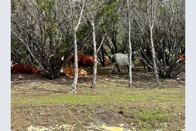 285 Donnie Drive, Lampasas, TX 76550 - Photo 19