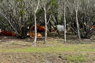 285 Donnie Dr, Lampasas, TX 76550 - Photo 19