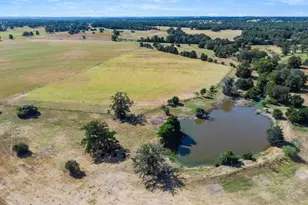 1099 Private Road 1061, Paige, TX 78659 - Photo 35