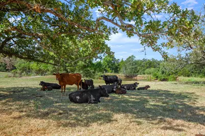 1099 Private Road 1061, Paige, TX 78659 - Photo 29
