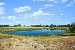 1099 Private Road 1061, Paige, TX 78659 - Photo 27