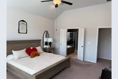 350 Trout River Road, Kyle, TX 78640 - Photo 19