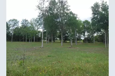 104 W Riverside Drive, Bastrop, TX 78602 - Photo 11