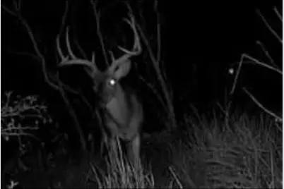 736 Cr 421 Road, Waelder, TX 78959 - Photo 7