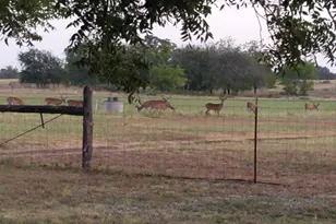 10905 Fm 1915 Fm1915 Hwy, Buckholts, TX 76518 - Photo 1