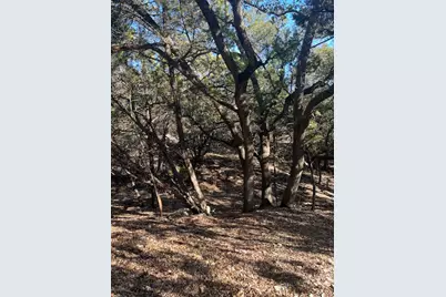 201 Assiniboia Drive, Canyon Lake, TX 78133 - Photo 7