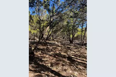 201 Assiniboia Drive, Canyon Lake, TX 78133 - Photo 11