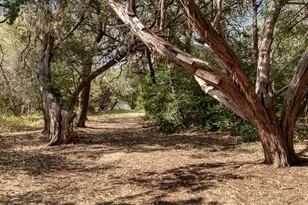 1606 Flint Rock Loop, Driftwood, TX 78619 - Photo 35