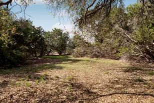 1606 Flint Rock Loop, Driftwood, TX 78619 - Photo 37