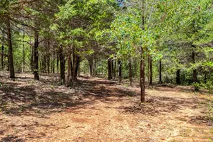 1922 E Sh 21, Paige, TX 78659 - Photo 33