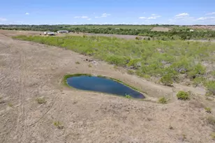 1167 Co Rd 427, Thrall, TX 76578 - Photo 39