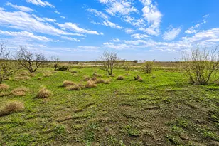 Tbd County Road 108, Buckholts, TX 76518 - Photo 1