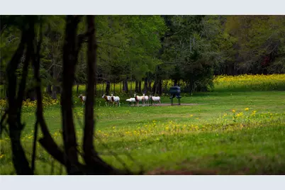 3860 Fm 2259, Nacogdoches, TX 75961 - Photo 35