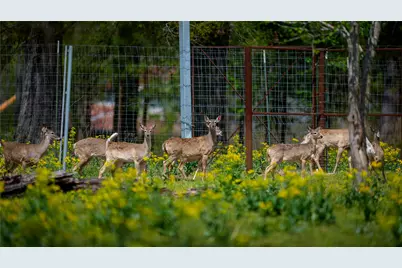 3860 Fm 2259, Nacogdoches, TX 75961 - Photo 37
