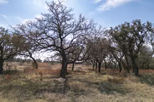 100 S Waterbuck Wy, Lampasas, TX 76550 - Photo 13