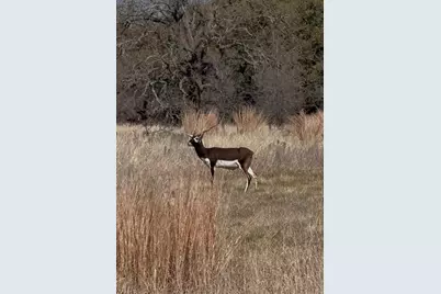 100 S Waterbuck Way, Lampasas, TX 76550 - Photo 15