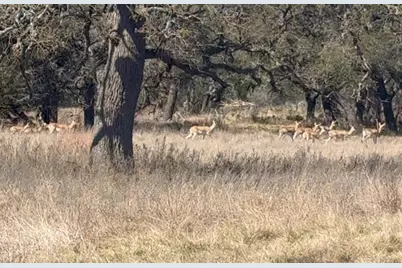 100 S Waterbuck Way, Lampasas, TX 76550 - Photo 17