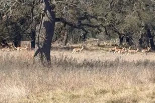 100 S Waterbuck Wy, Lampasas, TX 76550 - Photo 17