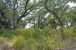 Lot 64 Rycen Dr, Bertram, TX 78605 - Photo 1