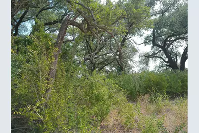 Lot 64 Rycen Drive, Bertram, TX 78605 - Photo 3