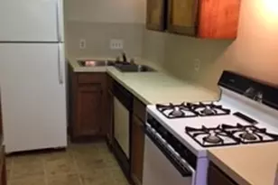 1203 W 49th St, Austin, TX 78756 - Photo 3