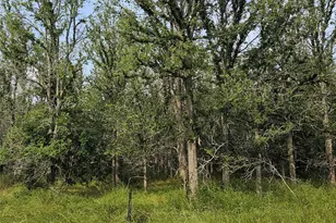 288 Kahana Ln, Bastrop, TX 78602 - Photo 1