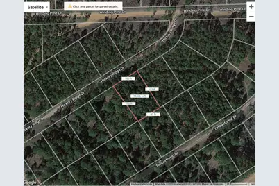 Lot 11 Hickory Ridge Drive, Bastrop, TX 78602 - Photo 5