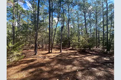 Lot 11 Hickory Ridge Drive, Bastrop, TX 78602 - Photo 3