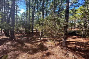 Lot 11 Hickory Ridge Dr, Bastrop, TX 78602 - Photo 1