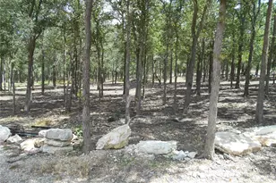 8001 Burleson Manor Rd, Manor, TX 78653 - Photo 21