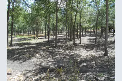 [Address not provided], Manor, TX 78653 - Photo 23
