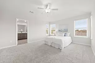 321 Durango Downs Dr, Hutto, TX 78634 - Photo 17