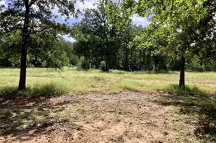 910 Antioch Rd, Paige, TX 78659 - Photo 27