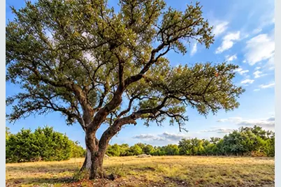208 Viento Cove, Blanco, TX 78606 - Photo 7
