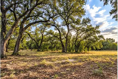208 Viento Cove, Blanco, TX 78606 - Photo 11