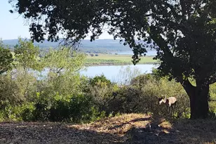 113 Hill Loop Lot 3B, Spicewood, TX 78669 - Photo 1