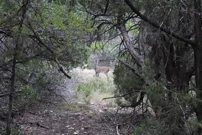 20701 Northland Drive, Lago Vista, TX 78645 - Photo 5