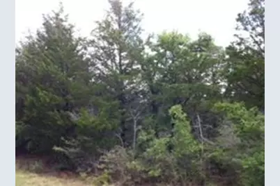 157 Campfire Way, Smithville, TX 78957 - Photo 1