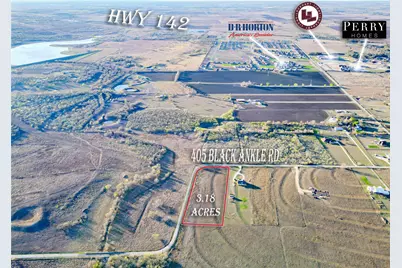 405 Black Ankle Road, Lockhart, TX 78644 - Photo 3