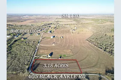 405 Black Ankle Road, Lockhart, TX 78644 - Photo 3