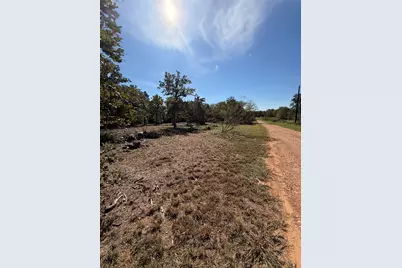 1686 Fm 2104 Lot # 14, Paige, TX 78659 - Photo 7