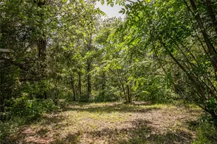 12899 Young Ln, Carmine, TX 78932 - Photo 21