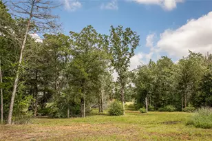 12899 Young Ln, Carmine, TX 78932 - Photo 19