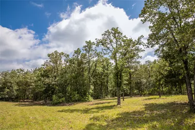12899 Young Lane, Carmine, TX 78932 - Photo 15