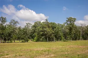 12899 Young Ln, Carmine, TX 78932 - Photo 17