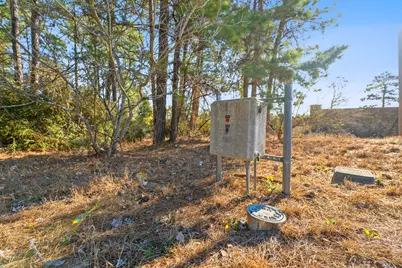 Lot 65 State Highway 21, Bastrop, TX 78602 - Photo 11