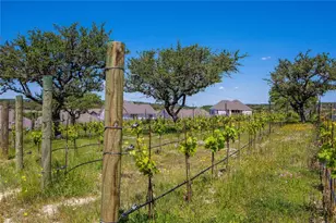 8505 Grenadier Dr, Austin, TX 78738 - Photo 11