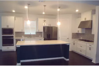 321 Pin Cherry Pass, San Marcos, TX 78666 - Photo 13