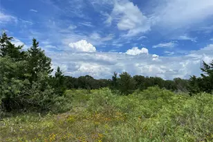 Tbd Fm 141, Giddings, TX 78942 - Photo 1